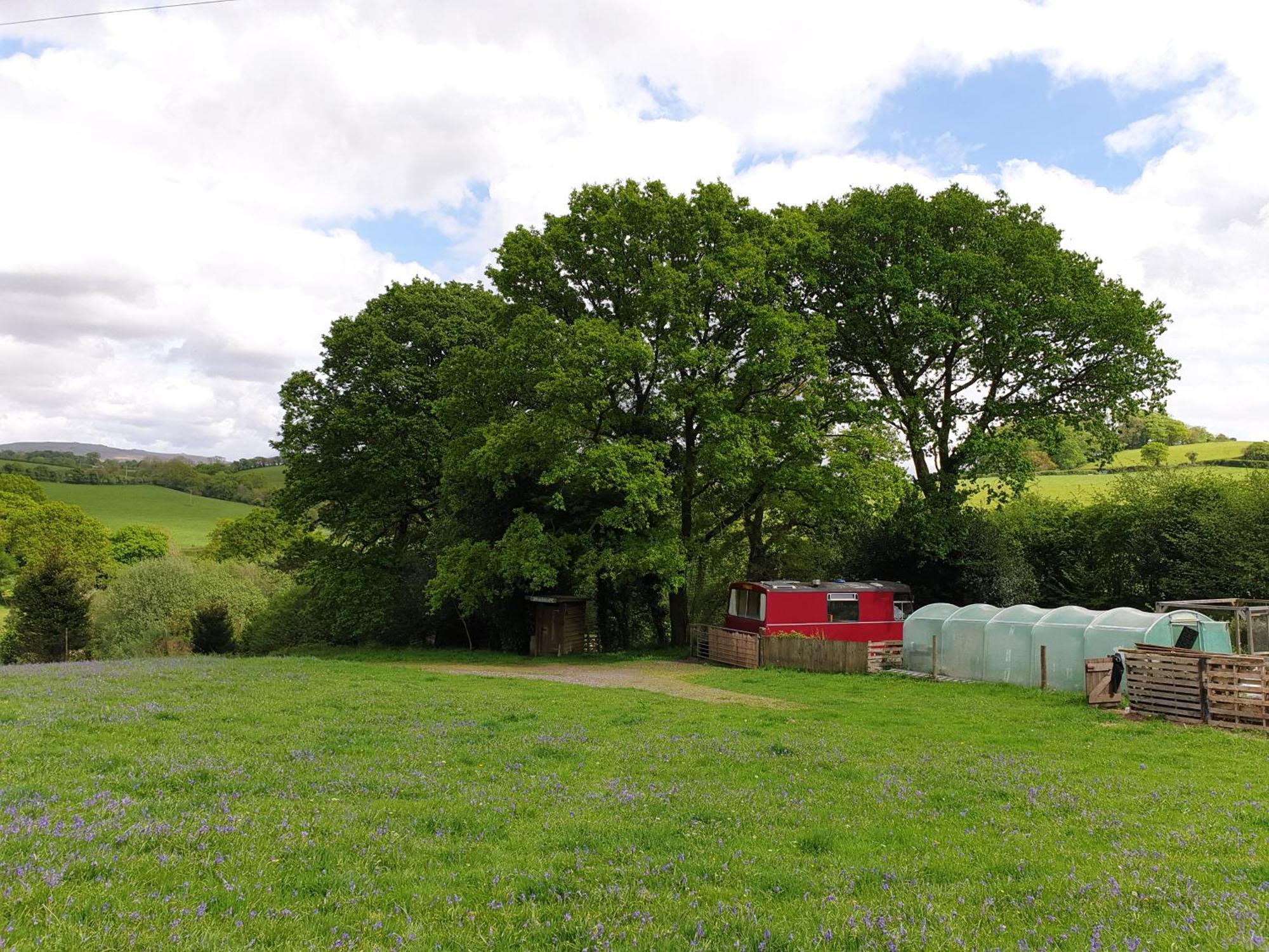 The Megabus Near Tavistock And Dartmoor. Lamerton Exterior foto